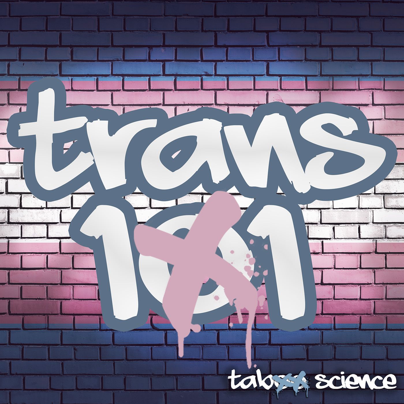 Trans 101: Everything You Think You Know (But Probably Don't)