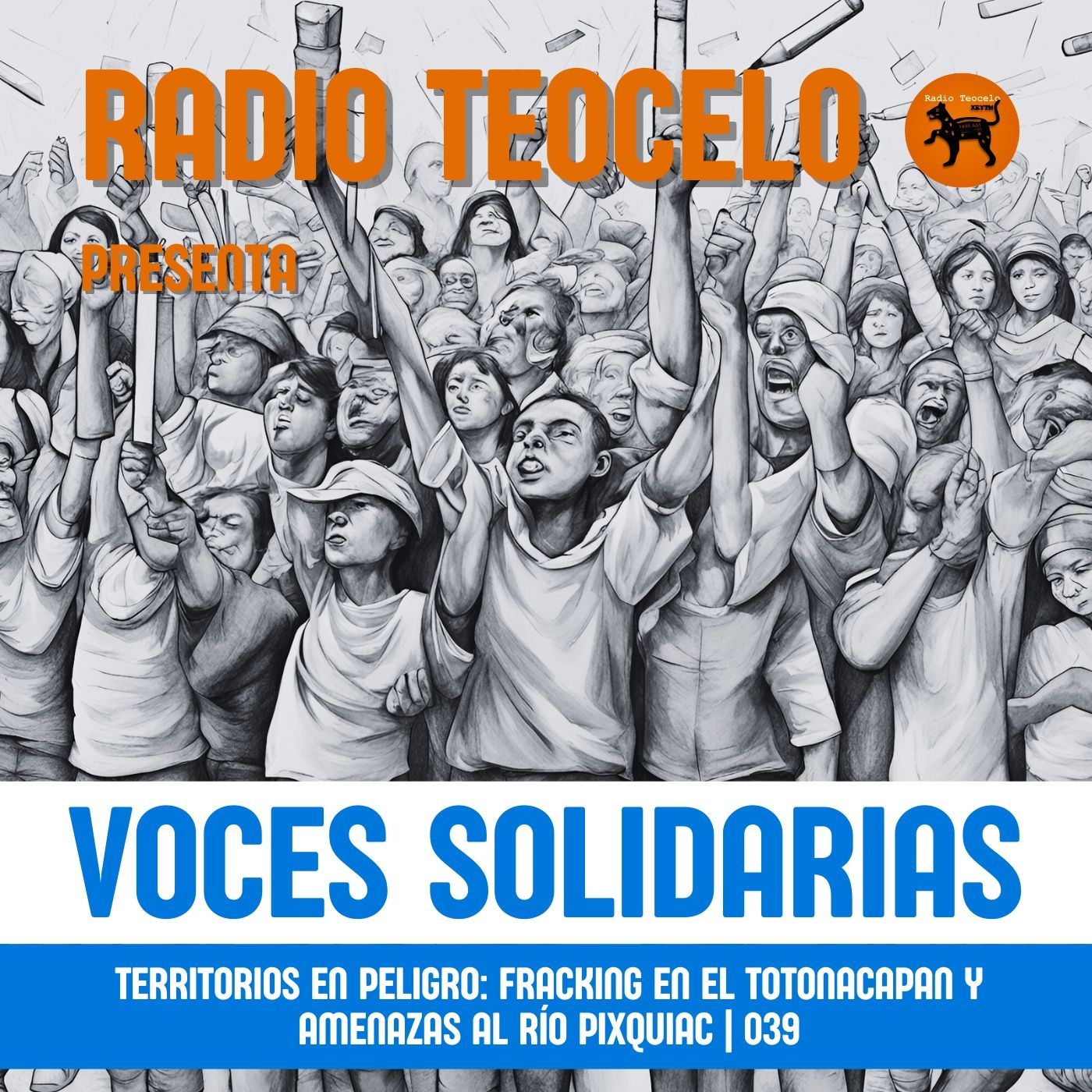 Voces Solidarias
