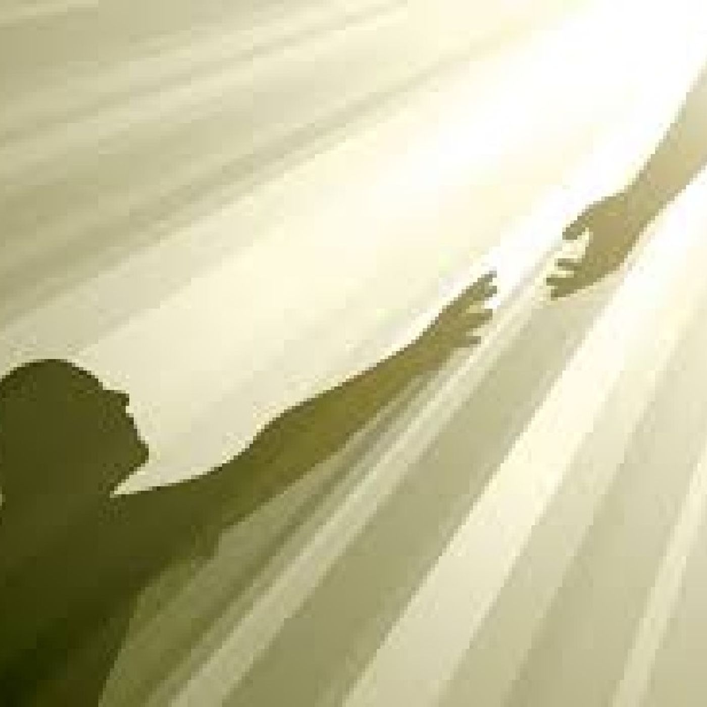 Divine Order By Way of Divine Affection