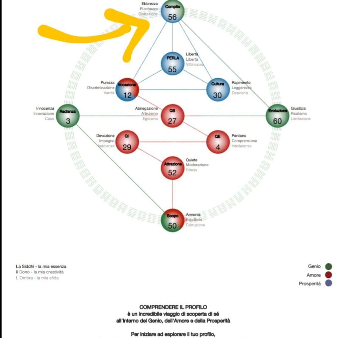 Chiave Genetica 56 presente dal 19 al 24 luglio Chiave Genetica 56 presente dal 19 al 24 luglio