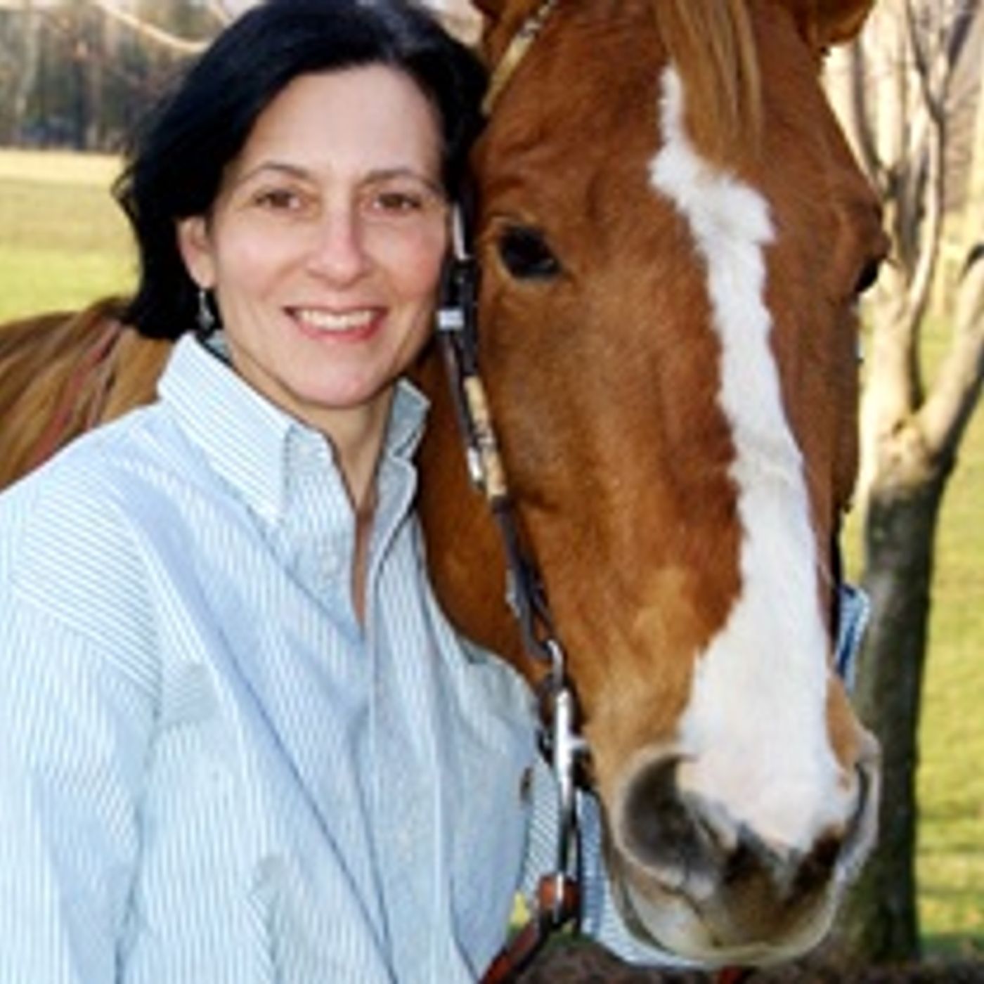 Nena Winand, carriage horse welfare episode artwork