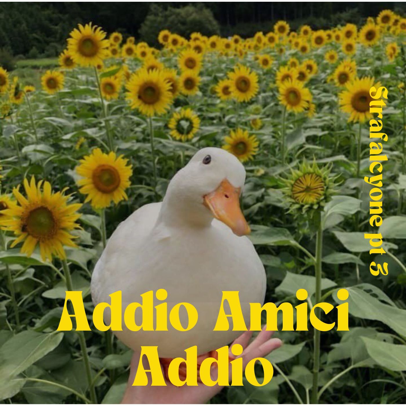 Addio Amici Addio (Strafalcyone pt3)