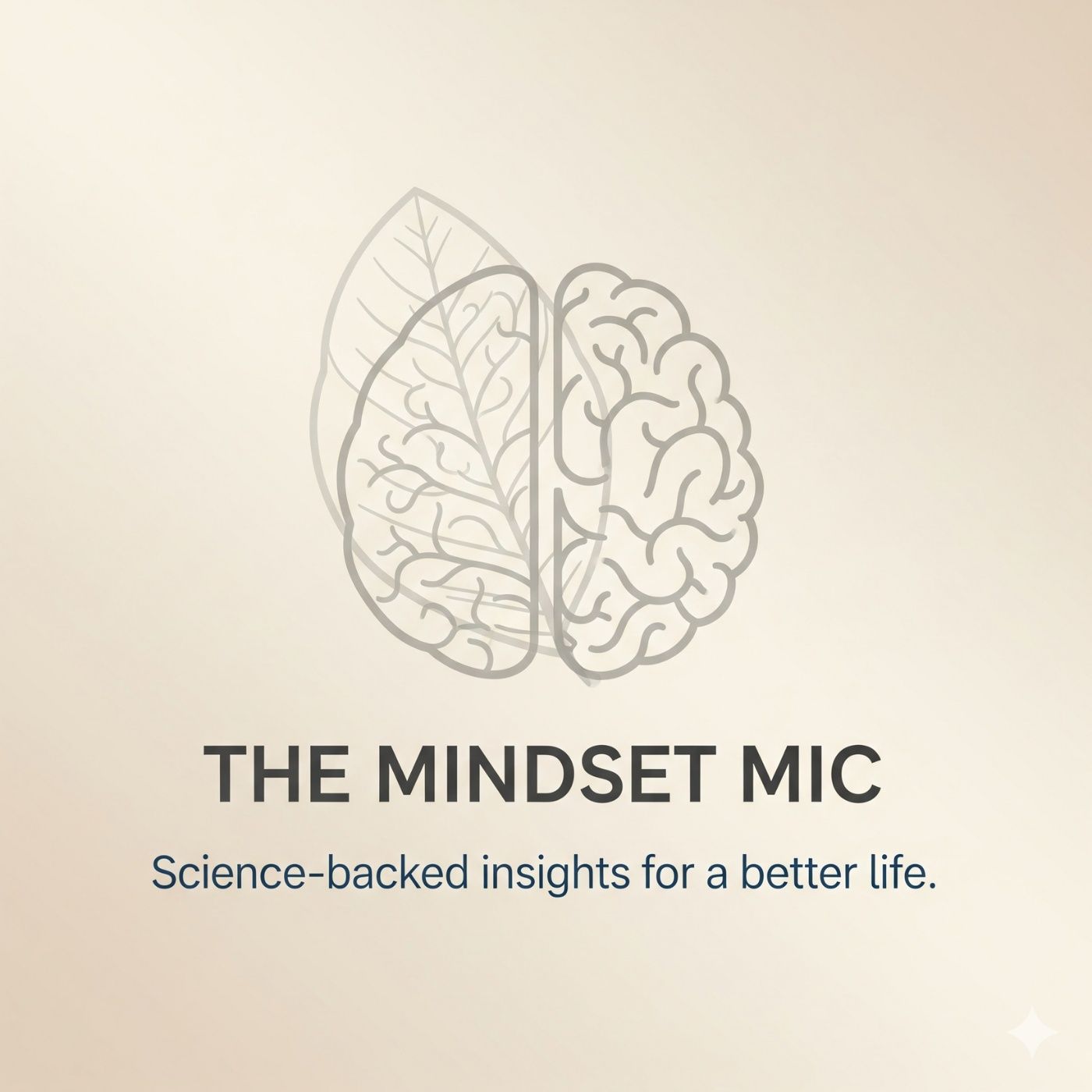 The Mindset Mic