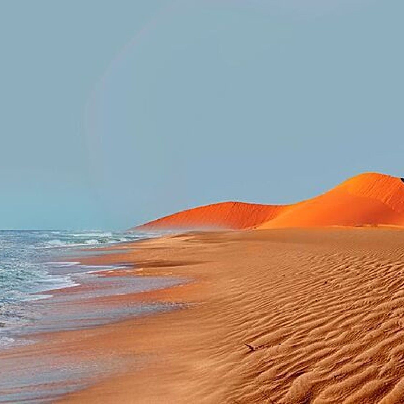 Horizonte global