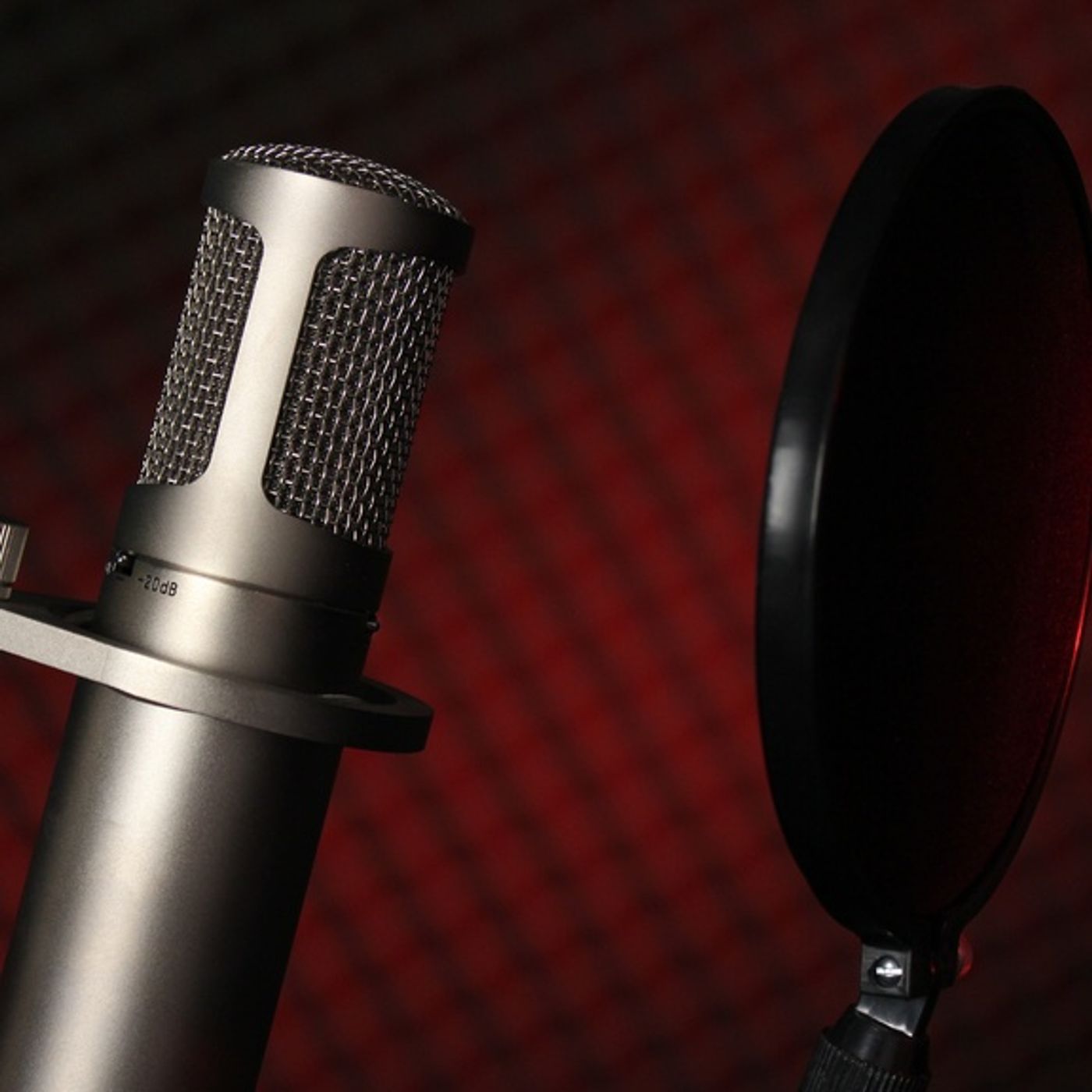 Voiceover Sermons with Terry Daniel