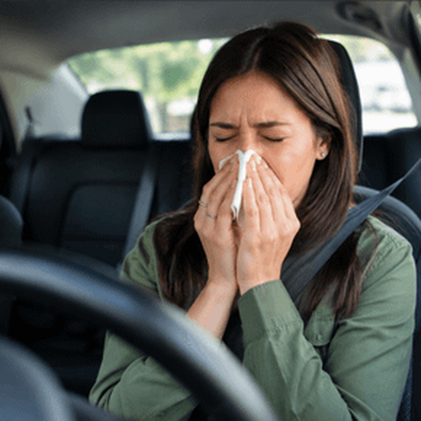 Best Cabin Air Filters for Allergy Relief | Filterbuy episode artwork