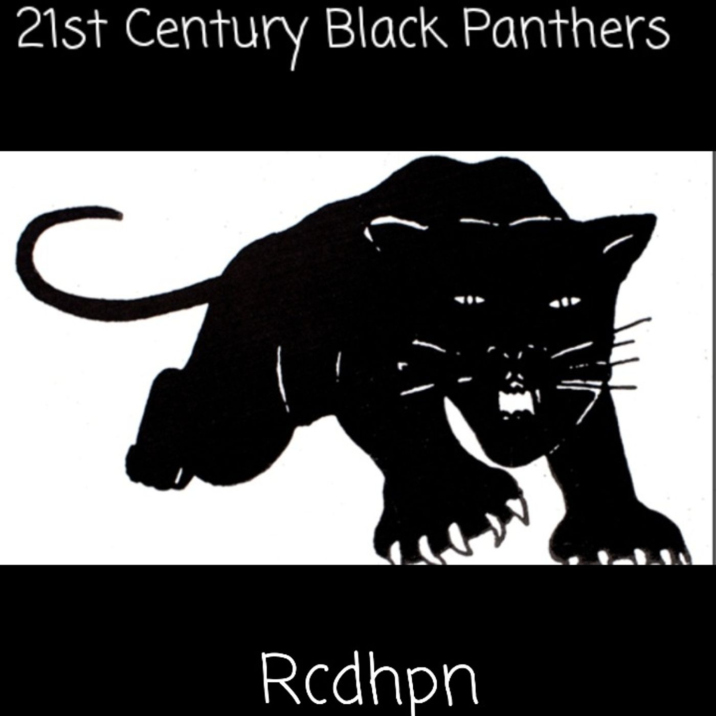 21st Century Black Panthers Rcdhpn