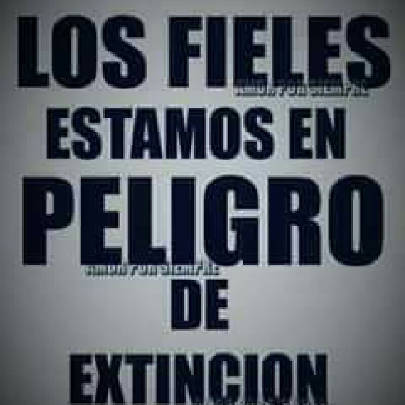 Puebla Entretenimiento\'s show