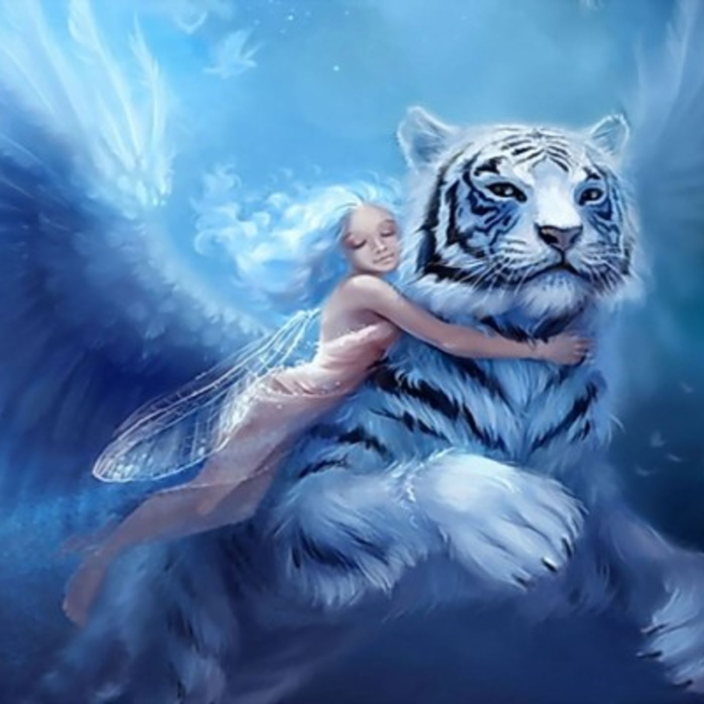 El show de Angel Reyes