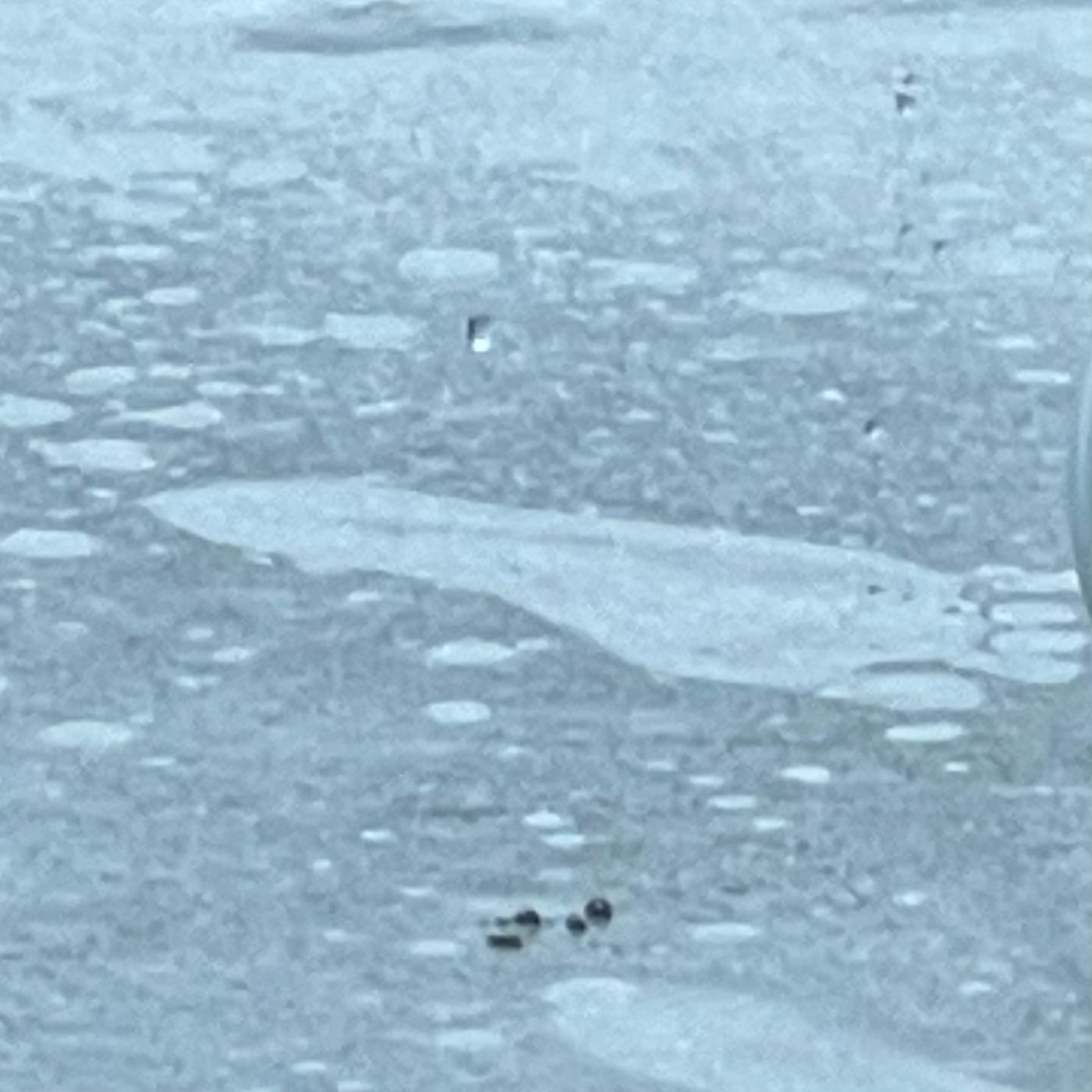 Frequential Connections Frequential Connections