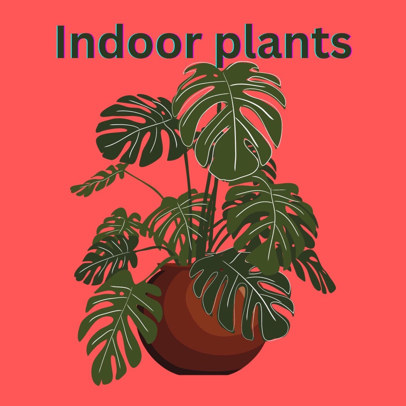 all that i know and feel on indoor plants #plants