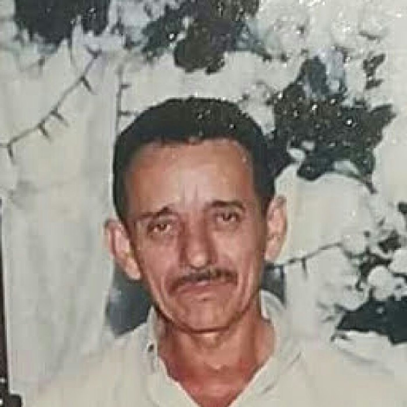 Para mi apa