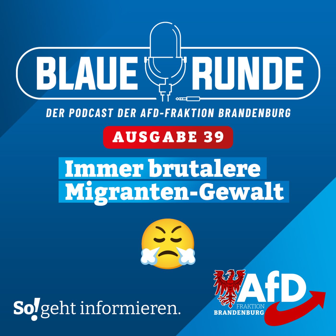 Immer brutalere Migranten-Gewalt! | Die Blaue Runde, Ausgabe 39/24 vom 26.06.2024 episode artwork