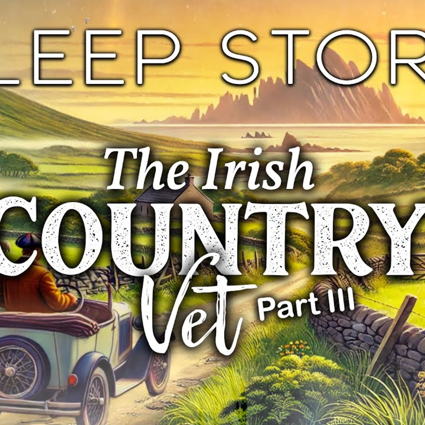 A Calming 1930s Ireland Sleep Story_ The Irish Country Vet Part 3(M4A_128K)