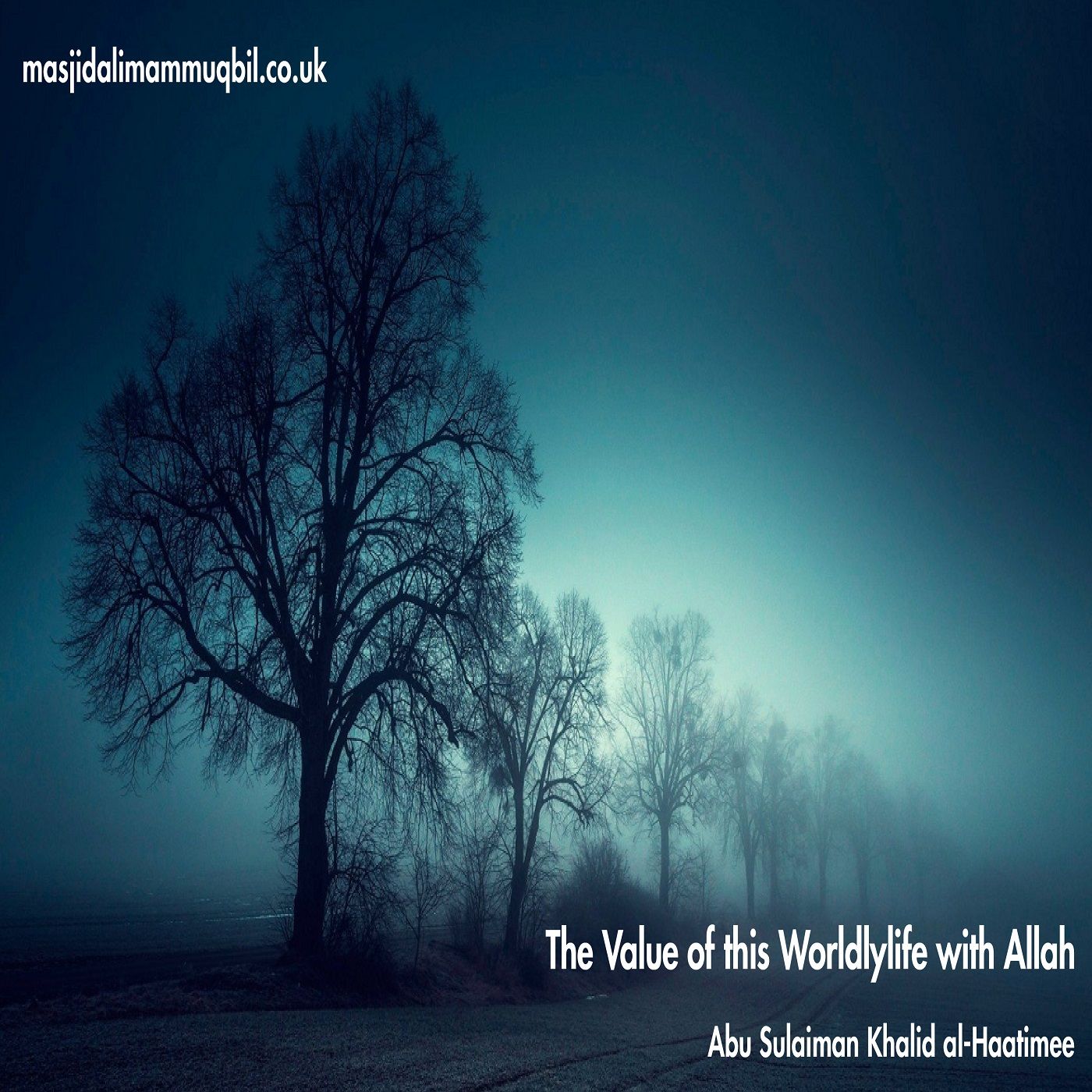The Value of this Worldlylife with Allah | Abu Sulaiman Khalid al-Haatimee episode artwork