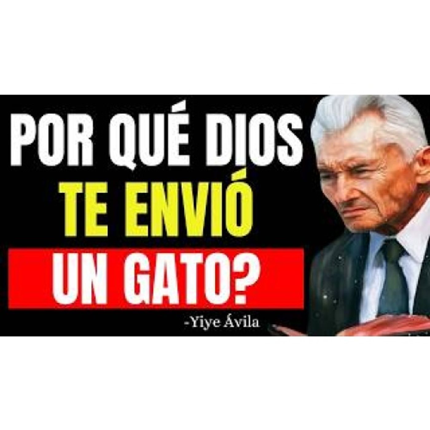 Descubre la ESPIRITUALIDAD de los Gatos ¿Por qué los gatos llegan a tu Vida? - Predicas Cristianas