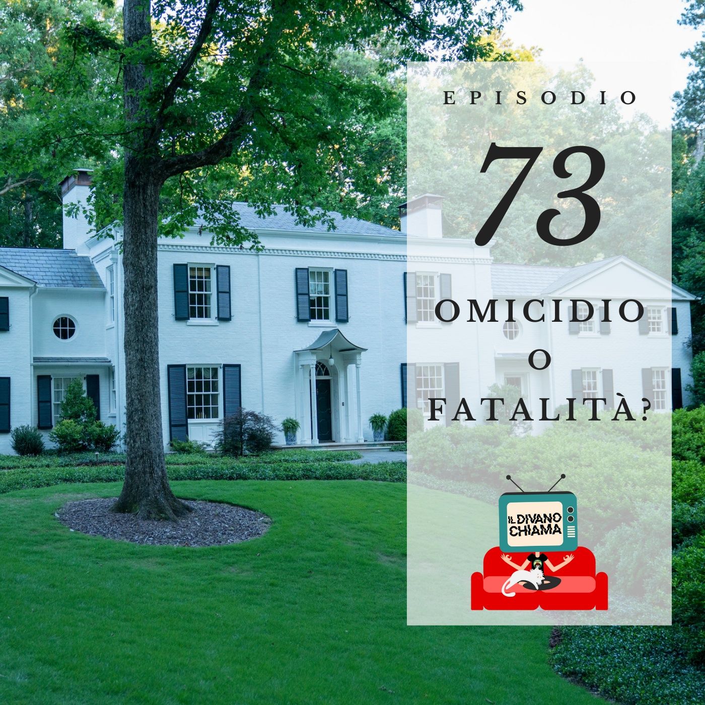 Puntata 73 - Omicidio o fatalità? episode artwork
