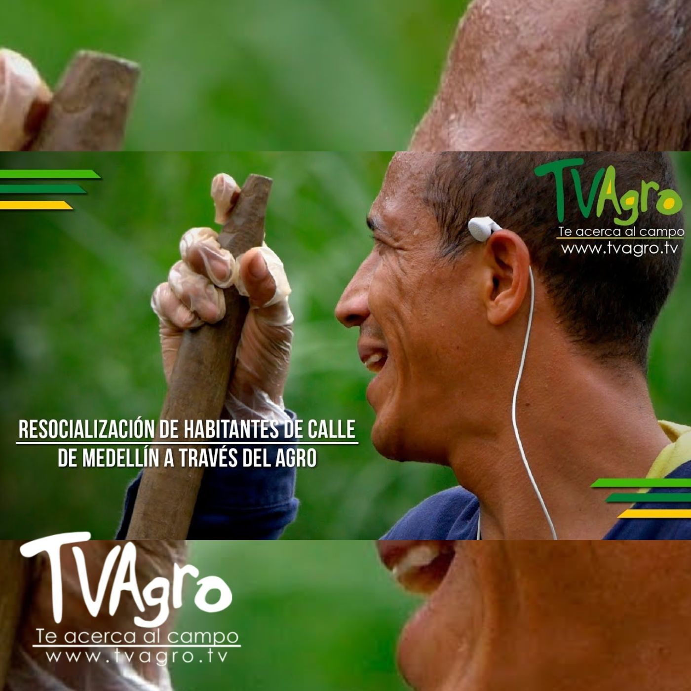 TV AGRO