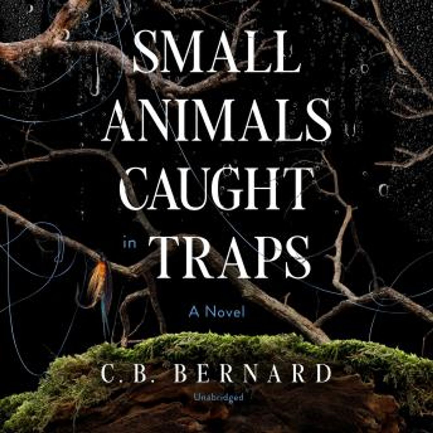 Listen to Top Full Audiobooks in Fiction, Drama