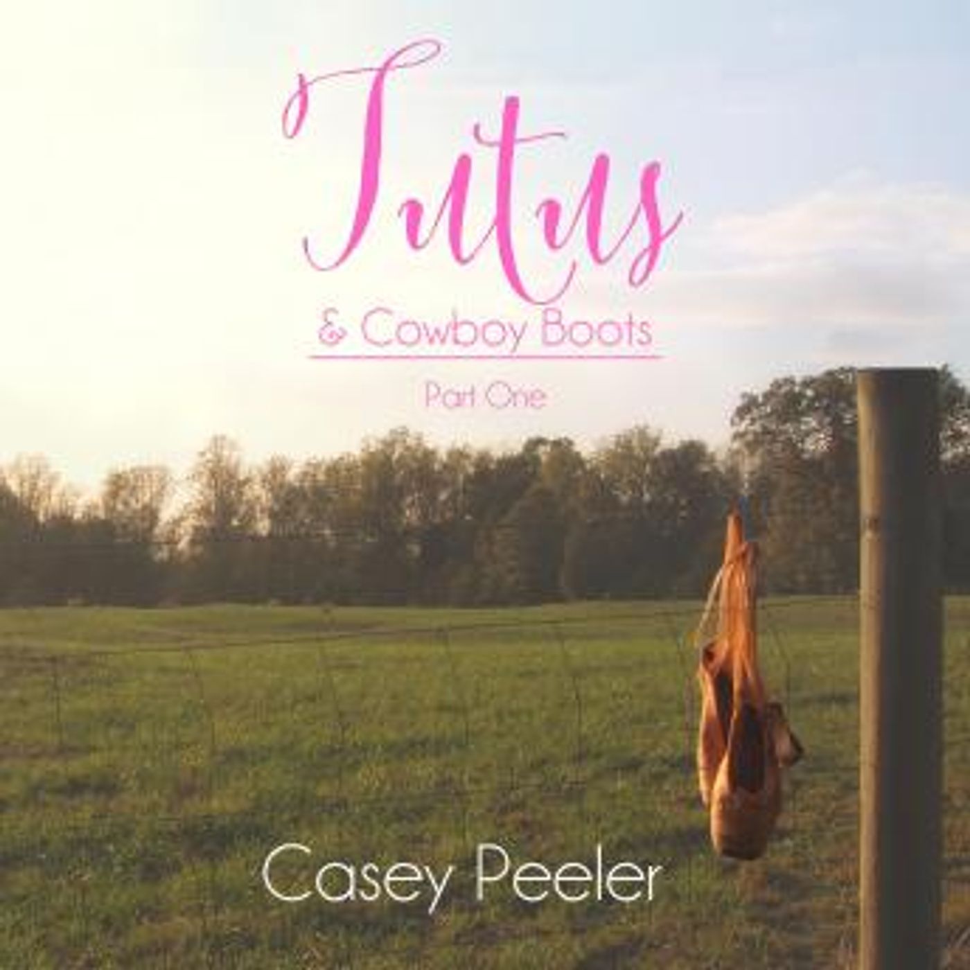 Get Top Full Audiobooks in Romance, Clean & Wholesome