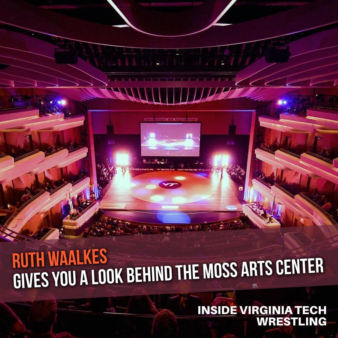 Understanding the Moss Arts Center with Executive Director Ruth Waalkes - VT106