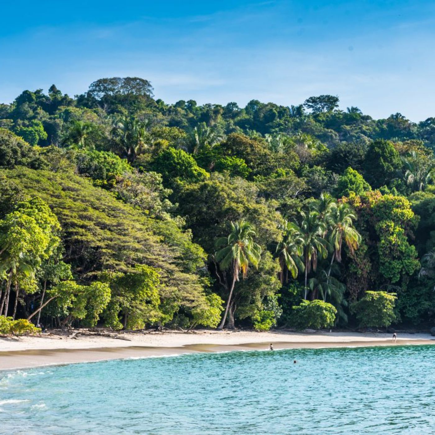 Discover Costa Rica: Hidden Gems & Must-Visit Spots cover art