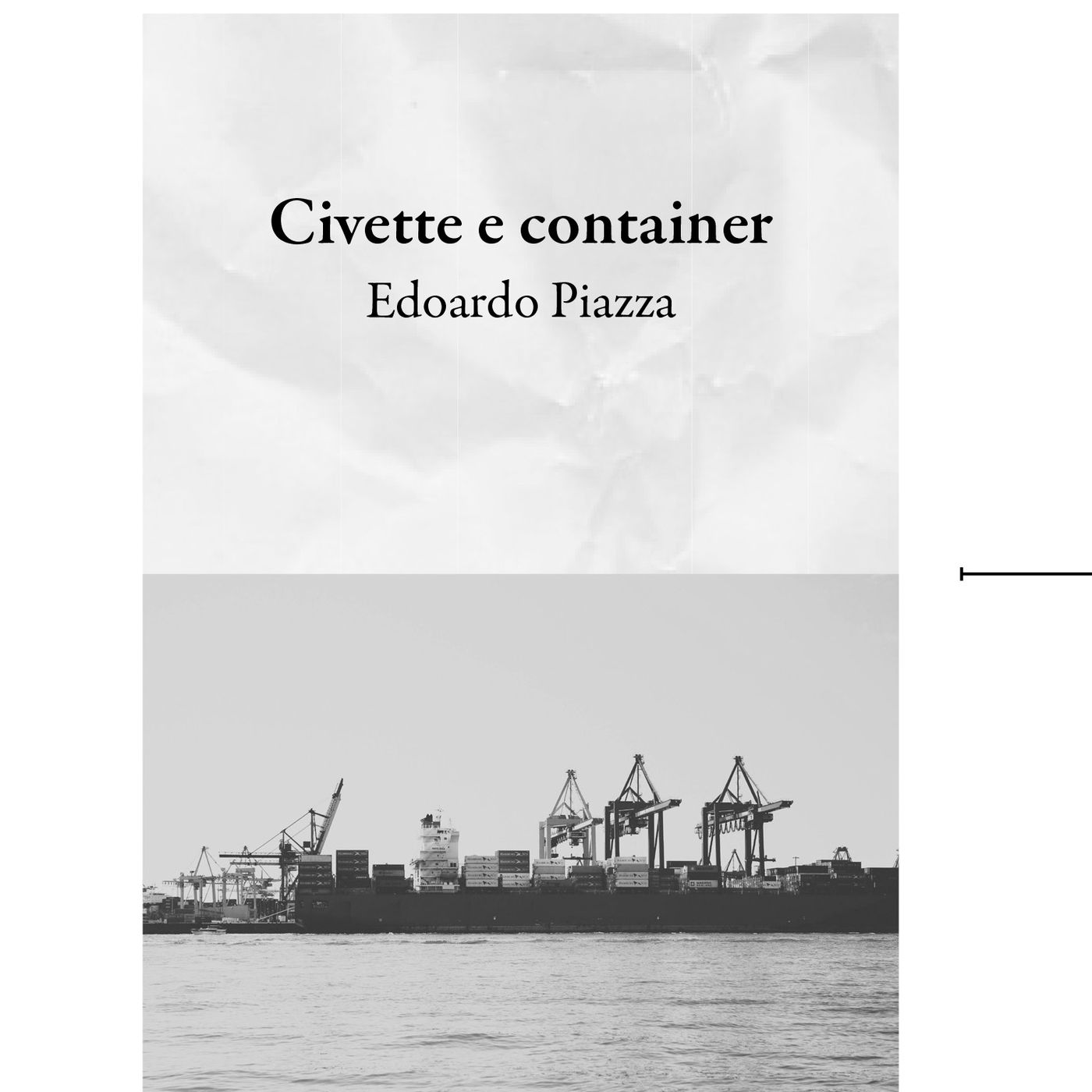 Edoardo Piazza "Civette e container"