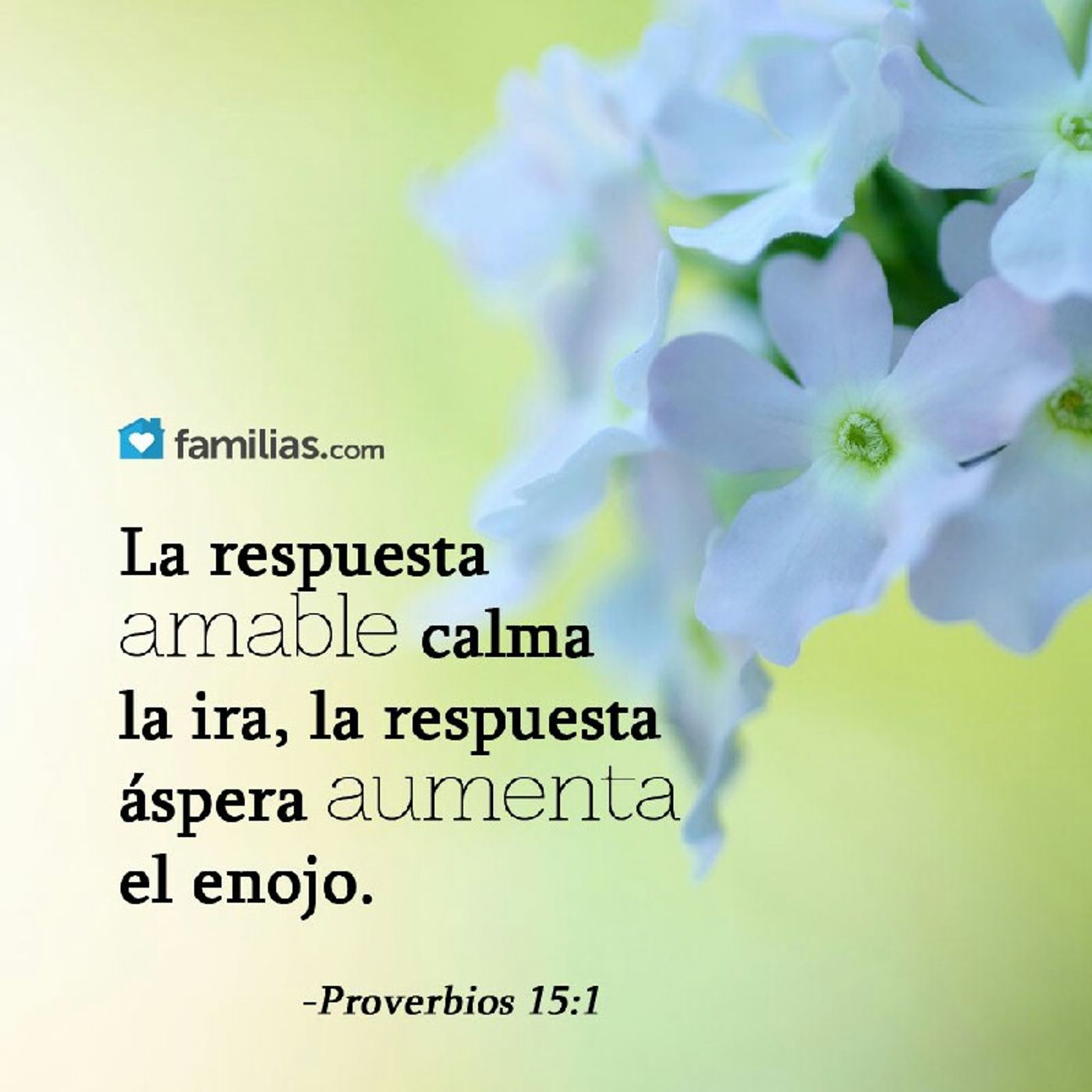 Proverbios 15:1 episode artwork
