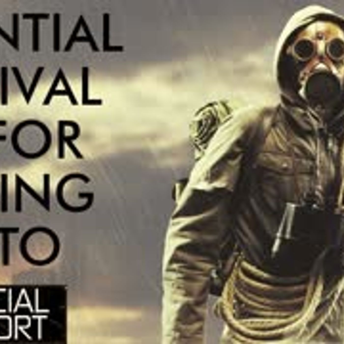 cover of episode Trading Crypto & Bitcoin - Essential Survival Tips