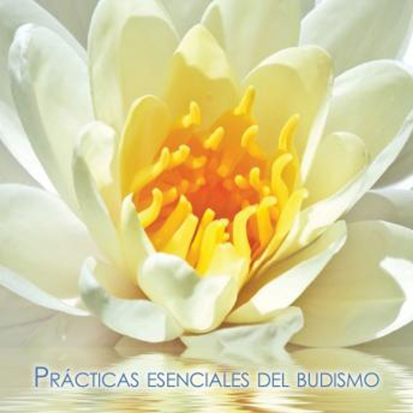 Access Top-Rated Full Audiobooks in Health & Wellness, Mindfulness & Meditation