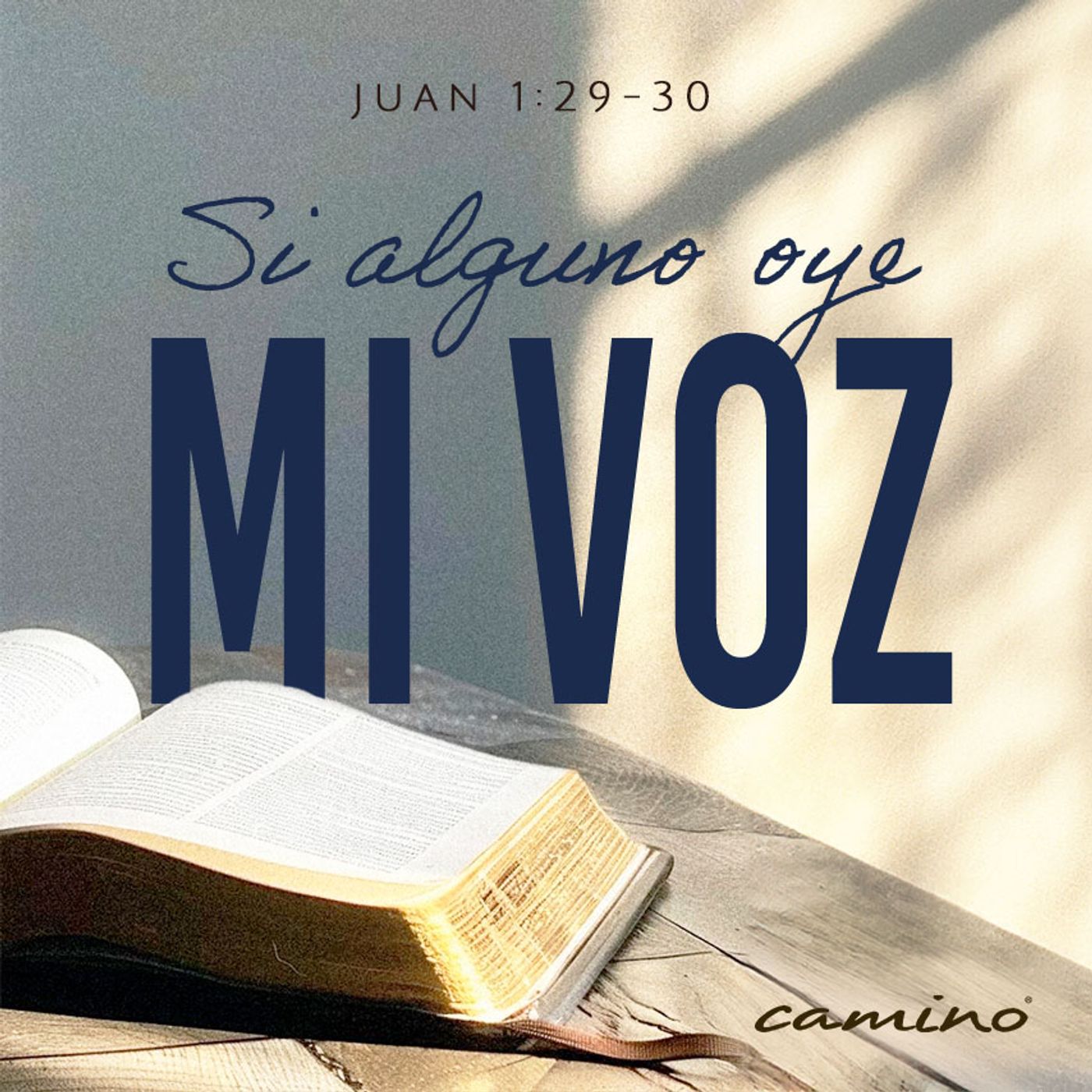 Oración 11 de febrero (Si alguno oye mí voz) episode artwork