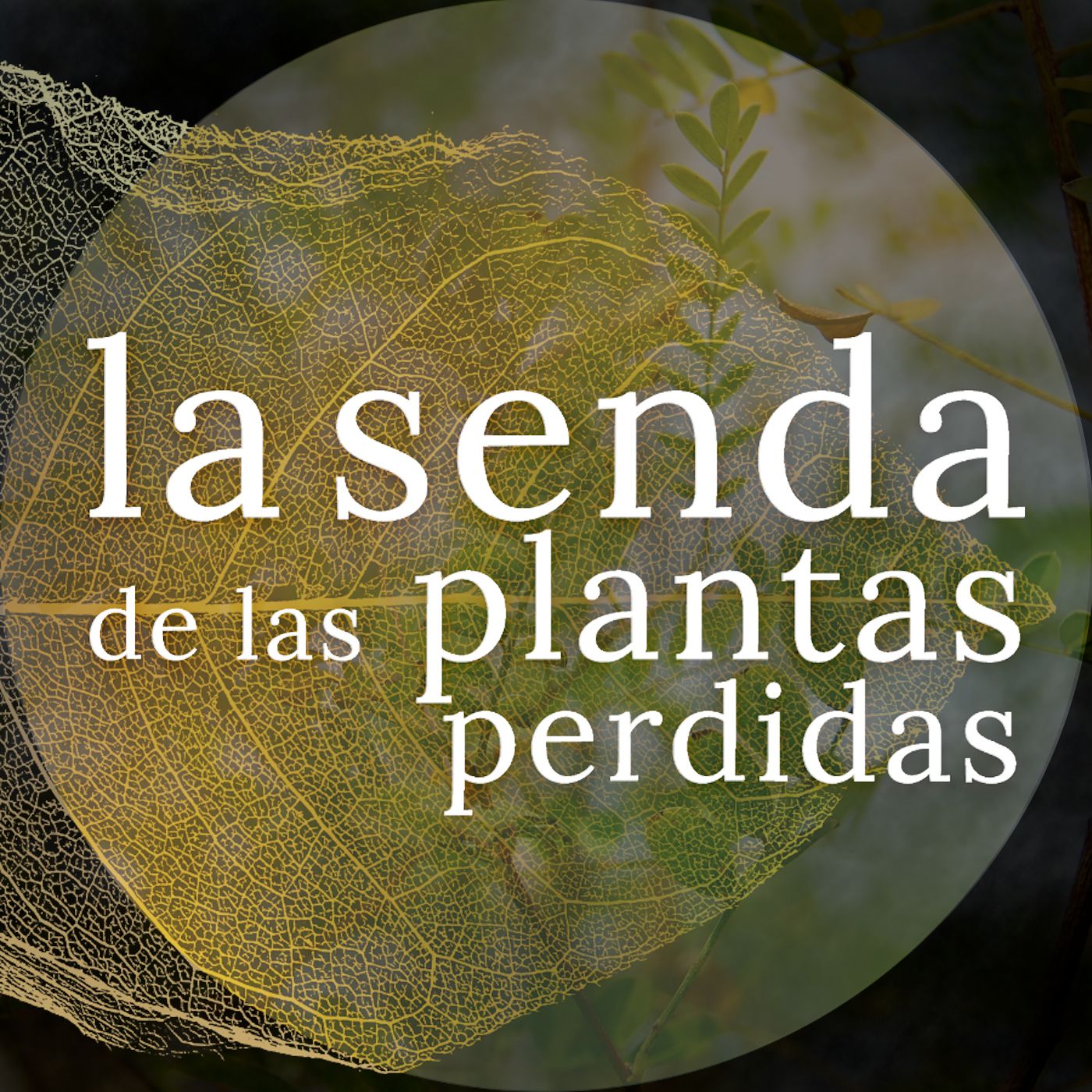 La Senda de las Plantas Perdidas