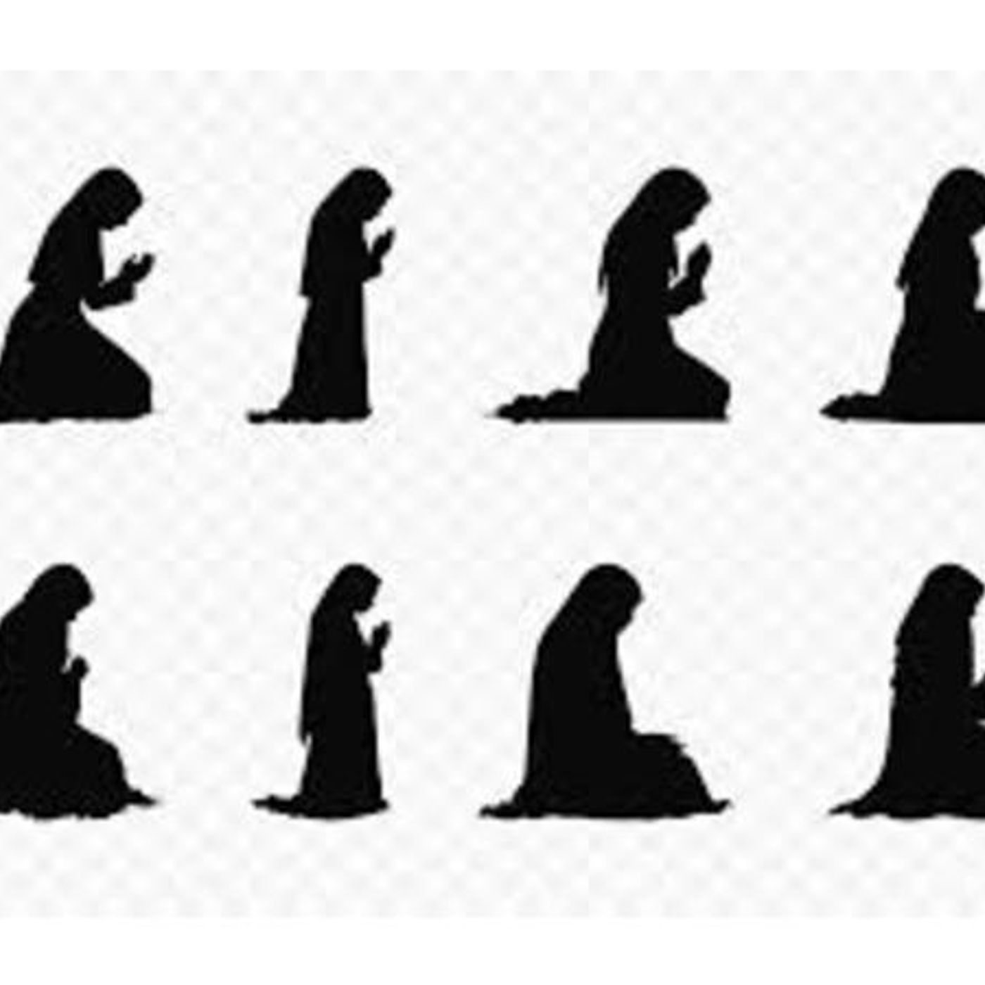 Muslim Women: Featuring leasha Prime, CWSC Updates by Martha Nailah Williams episode artwork