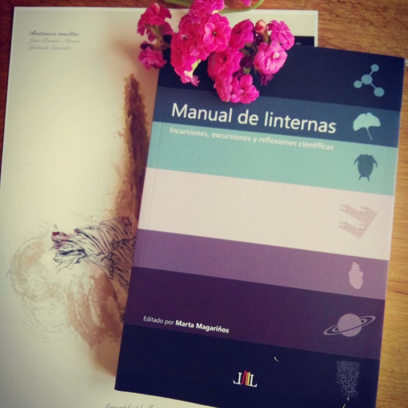 Efervesciencia