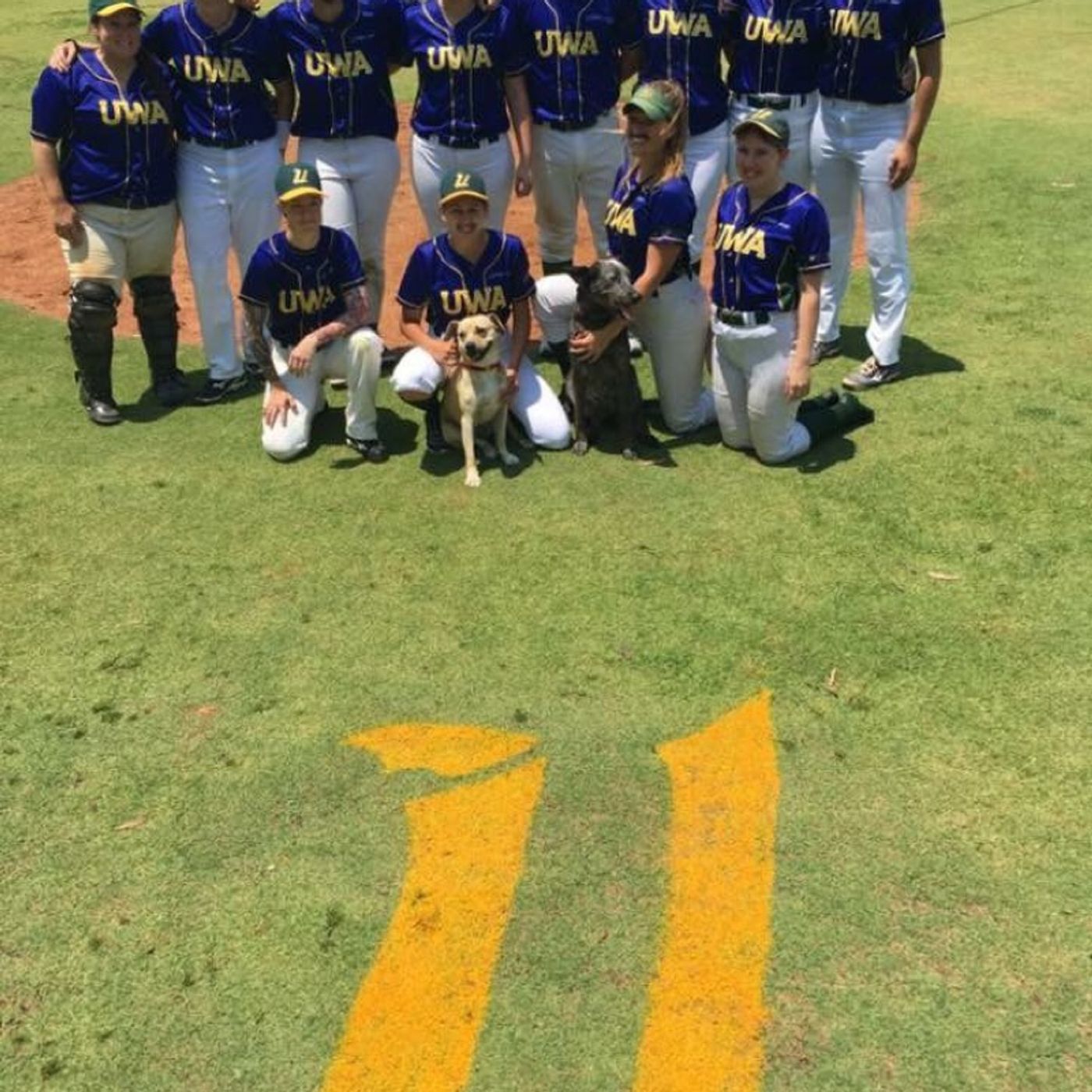 Ladywhips Baseball