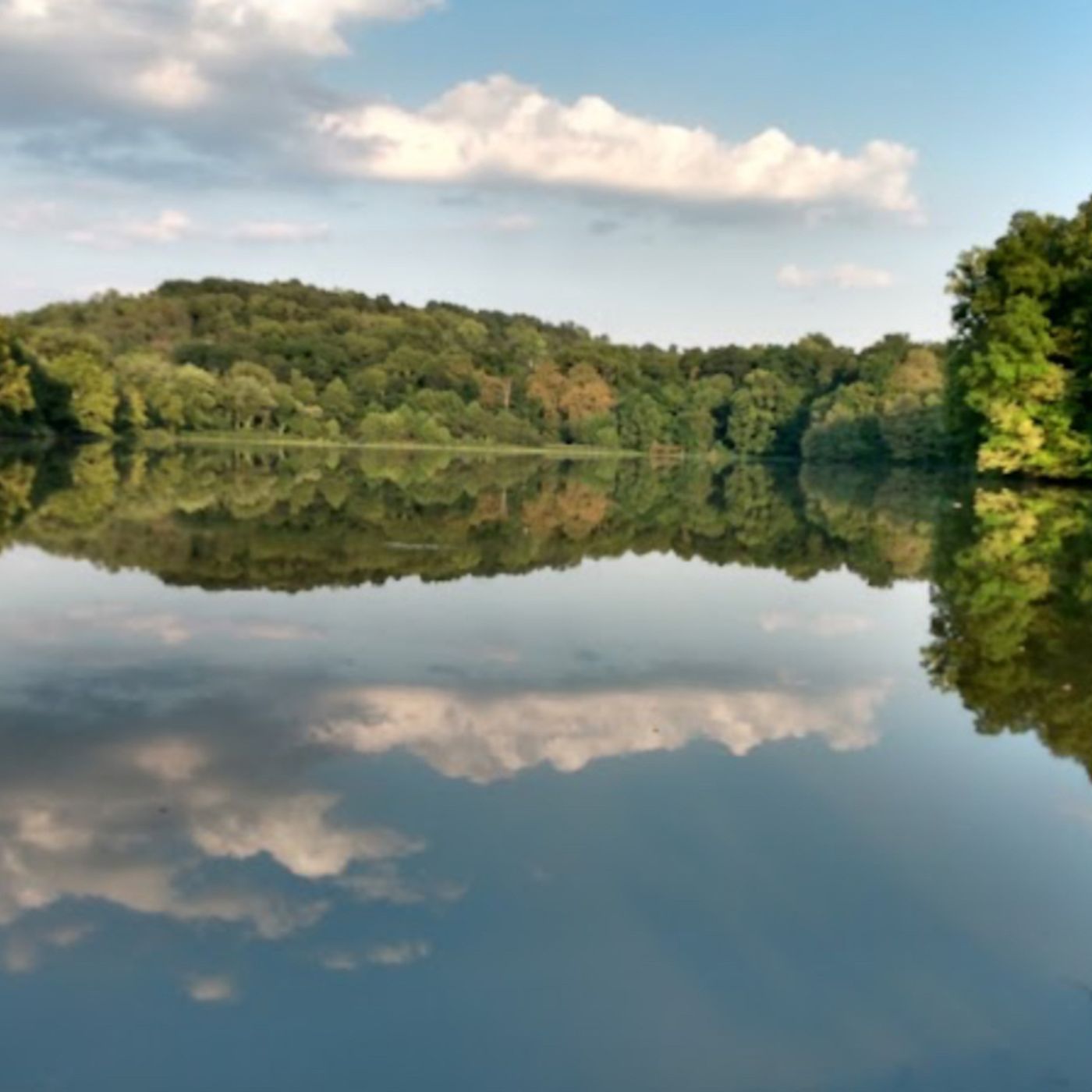 BONUS - Interview with Zachary Brown of the WVDNR on Turkey Run Lake Project