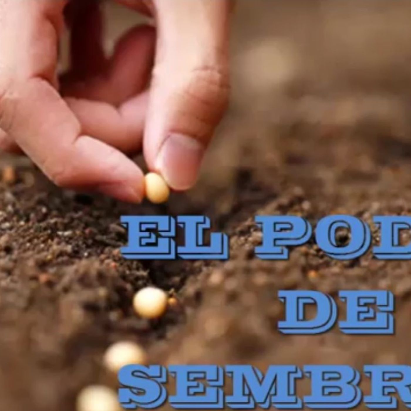 Reflexiones Cristianas