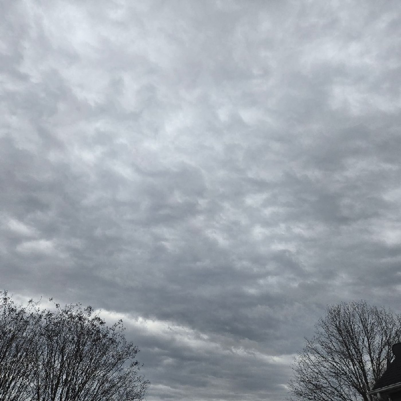 Episode 68 - You've Already Won ♥️