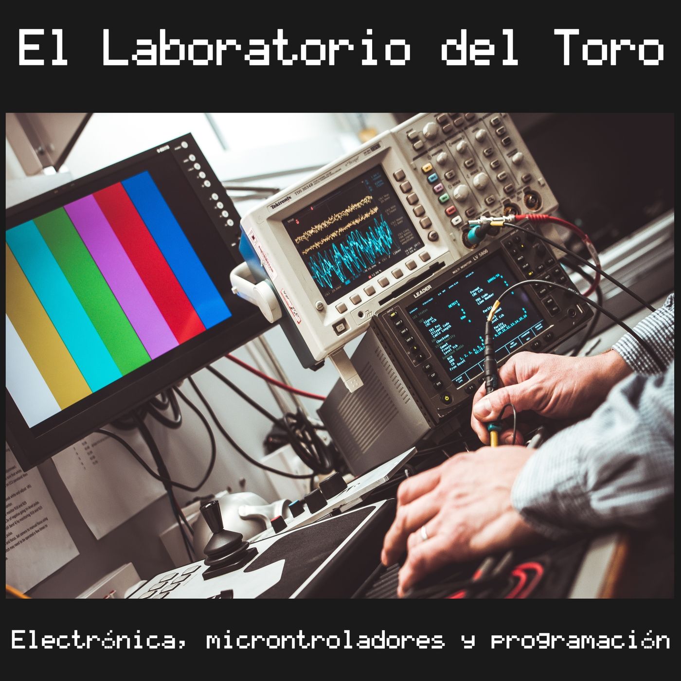 El Laboratorio del Toro