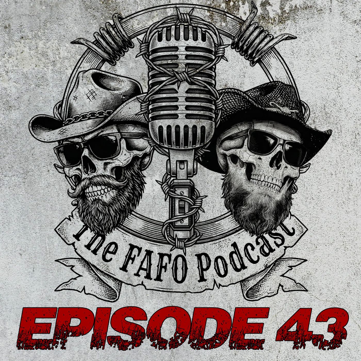 FAFO Episode 43: Interview with Best Selling Author and Public Relations Expert Liz H Kelly episode artwork