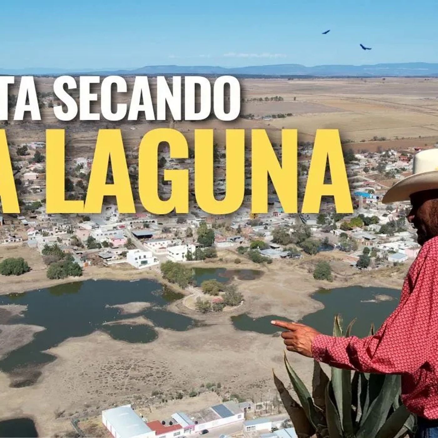 _LAGUNA GRANDE TIERRA DEL QUESO AÑEJO_