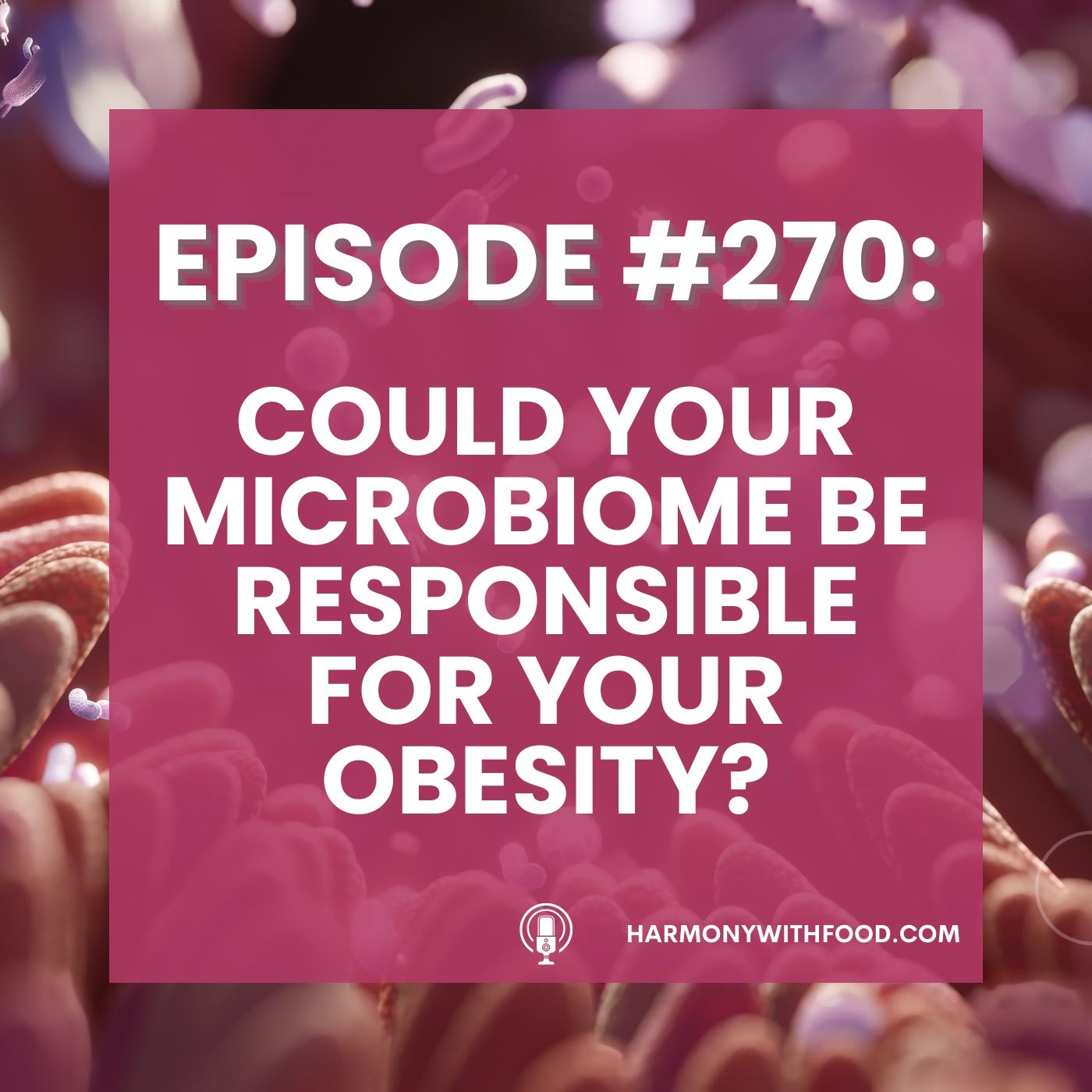 Could Your Microbiome Be Responsible For Your Obesity (AKA:  Weight Loss Resistance)? episode artwork