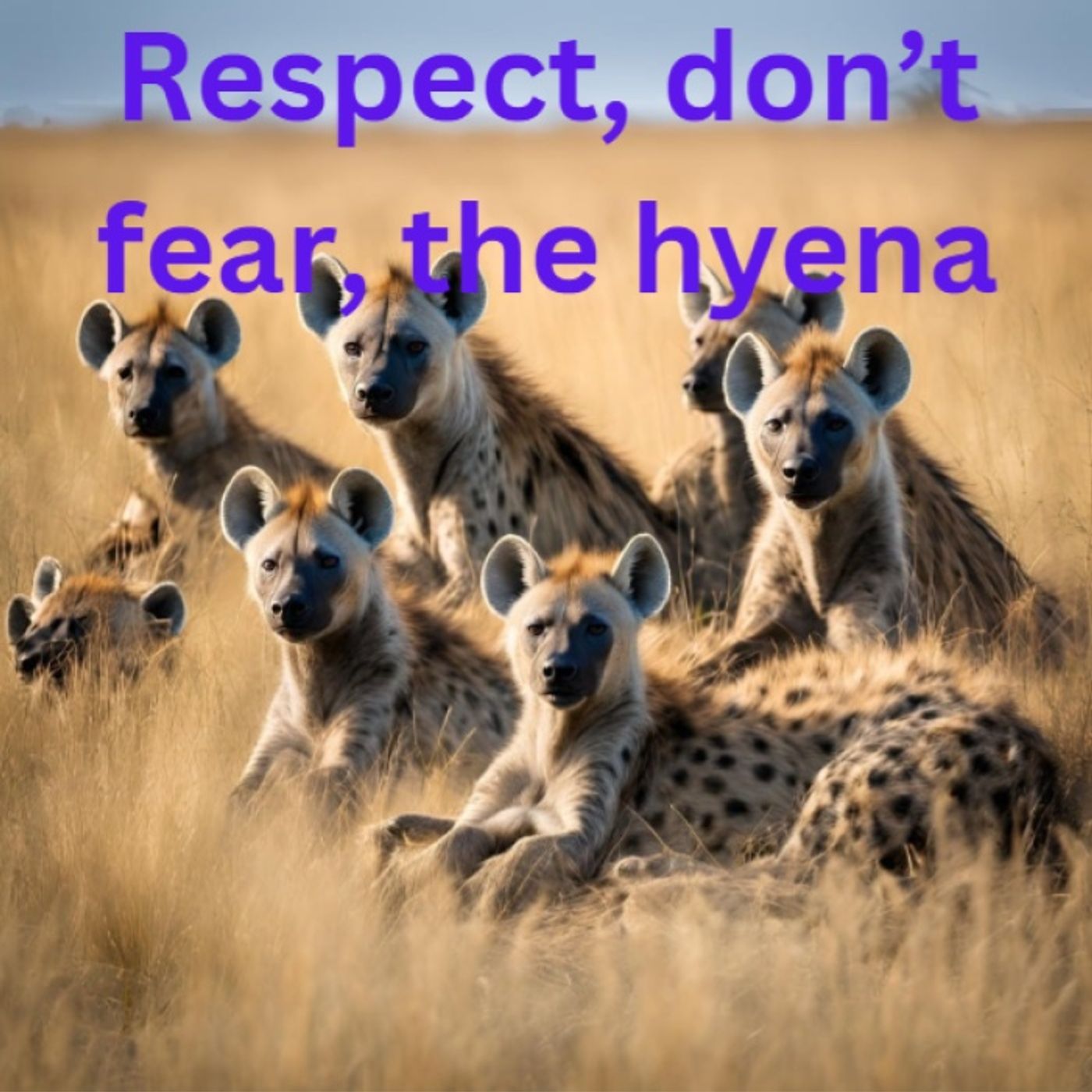 Respect: don't fear the hyena podcast artwork
