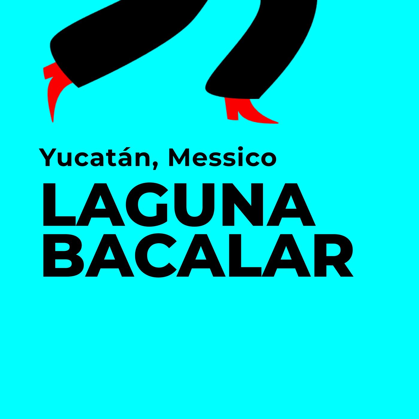 Viaggio a 1.5x - dal Brasile a Berlino