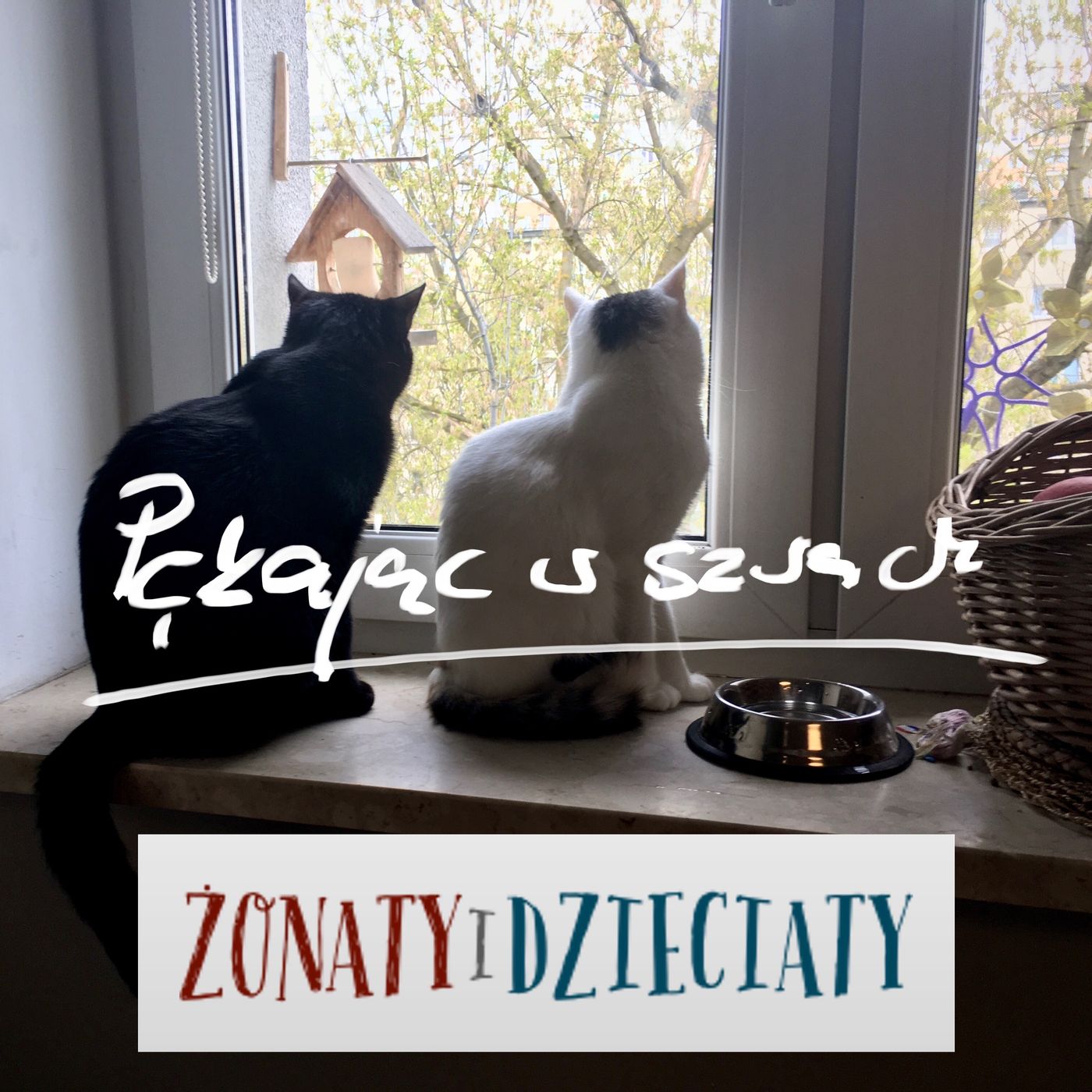 Pękając w szwach