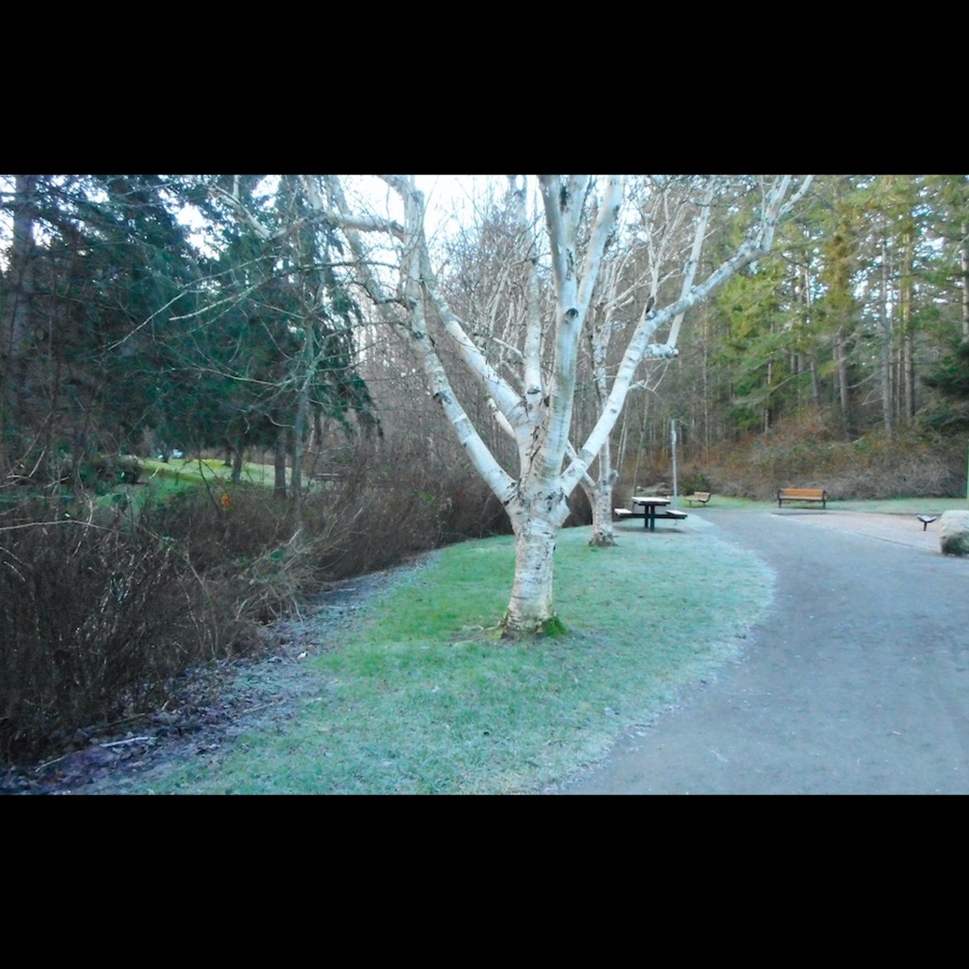 Frosty Trails Romp