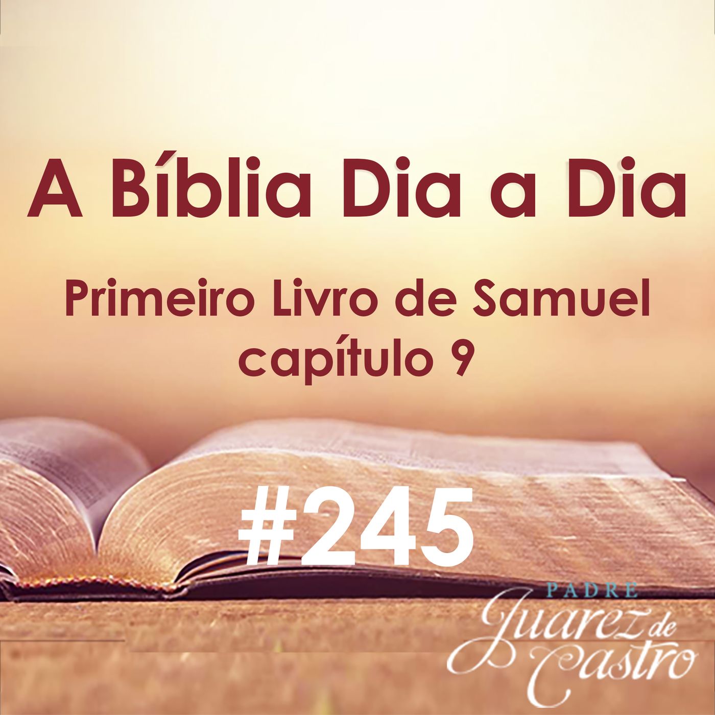 Curso Bíblico Padre Juarez