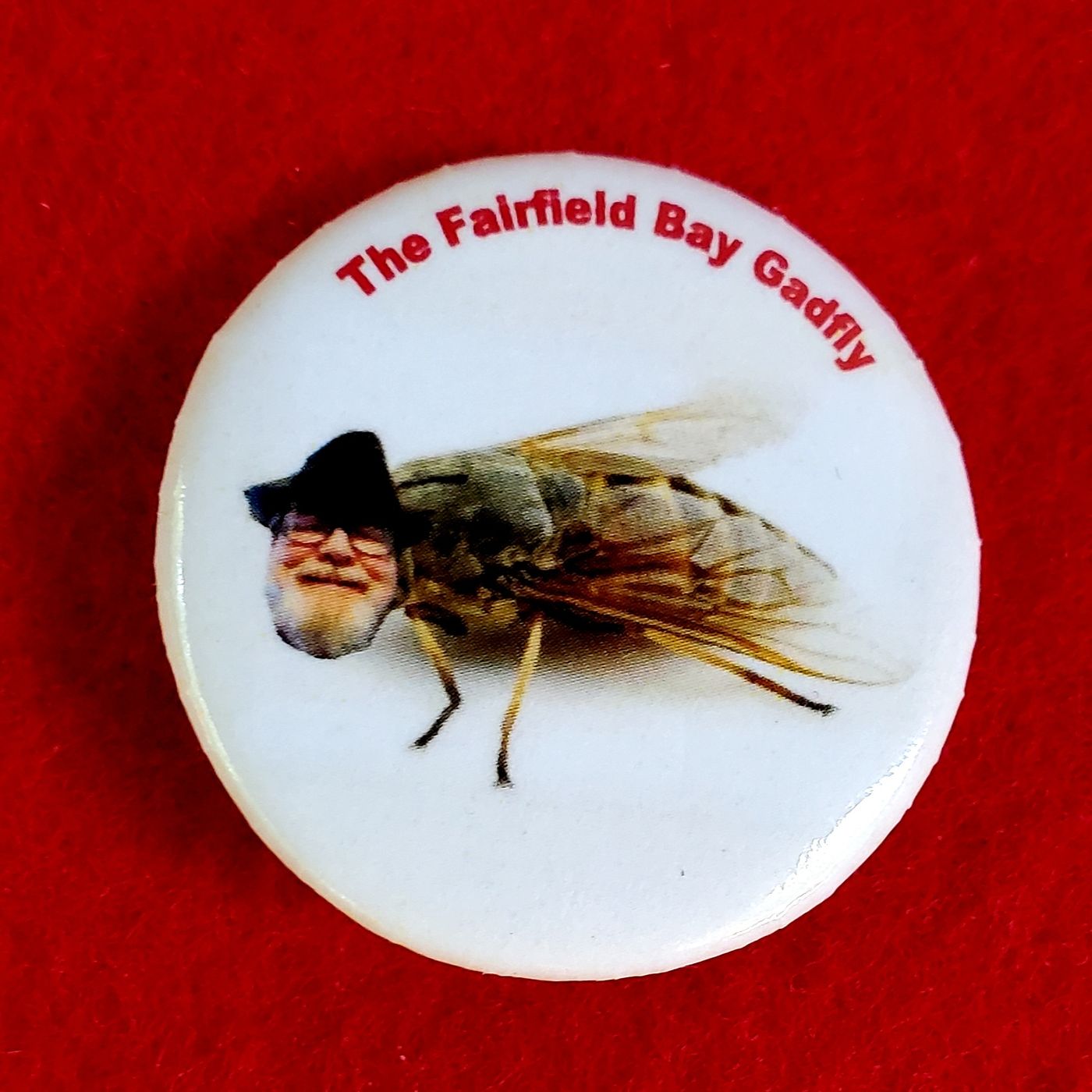 The Fairfield Bay Gadfly Presents