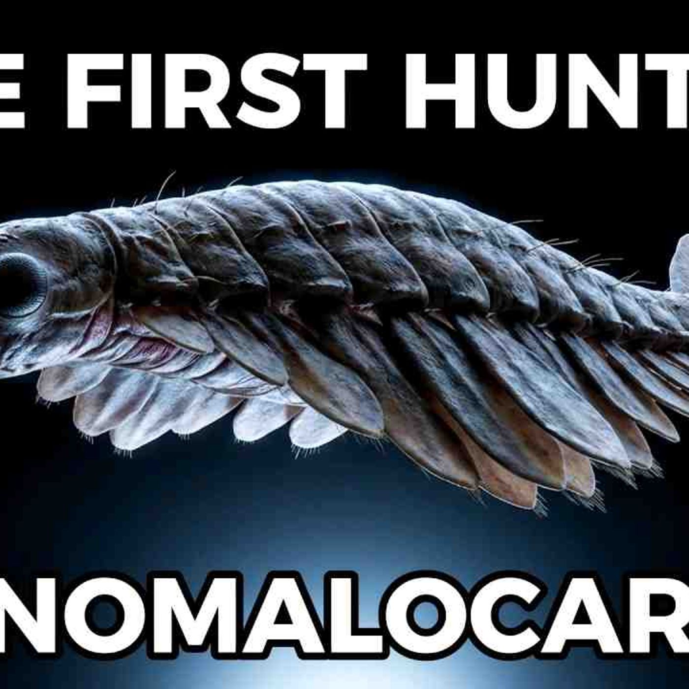 Anomalocaris_ The Half-Billion-Year-Old Monster That Changed All Life on Earth episode artwork