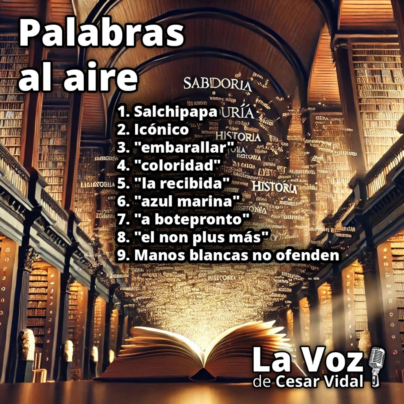 Palabras al aire - 27/10/25 episode artwork